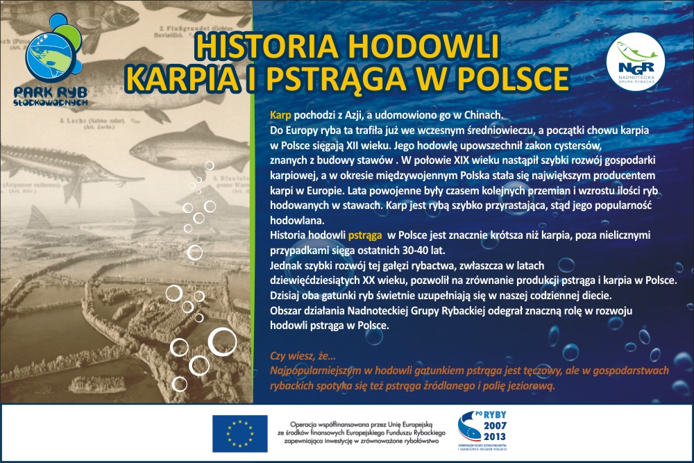 Plansza zawiera opis historii hodowli karpia i pstrąga w Polsce.