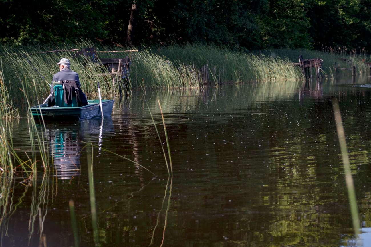 Zdjęcie wędkarza w łódce na jeziorze przy tataraku.