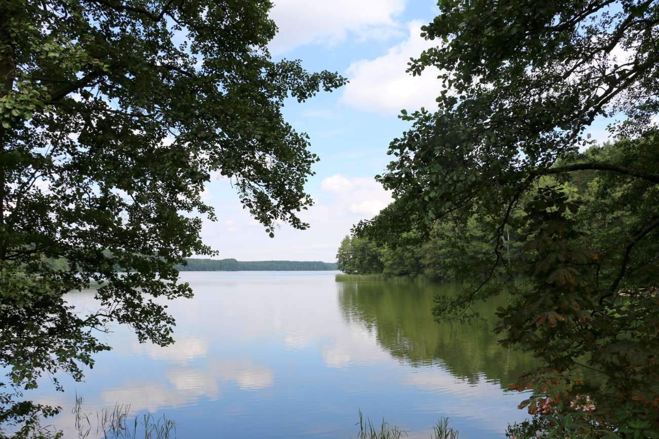 Zdjęcie jeziora i drzew.